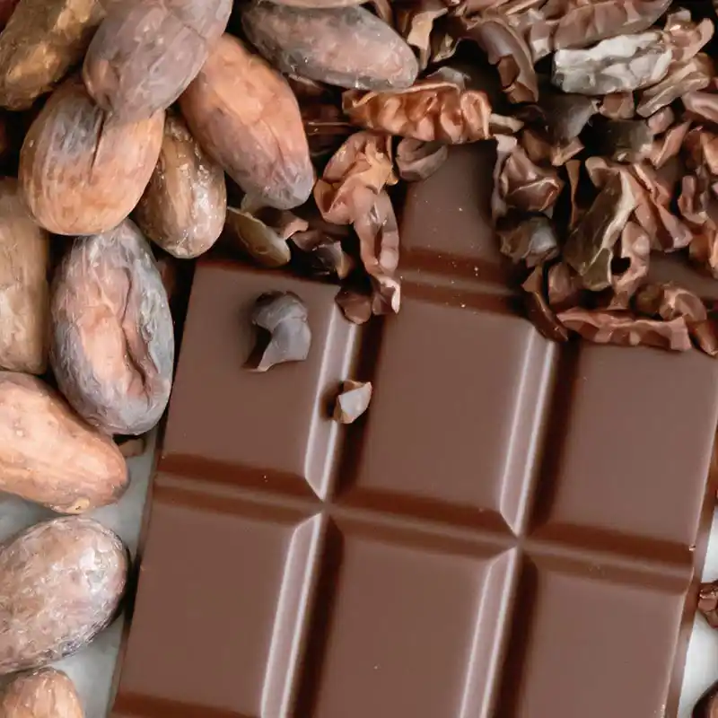 Feste_Schokolade_Kopie