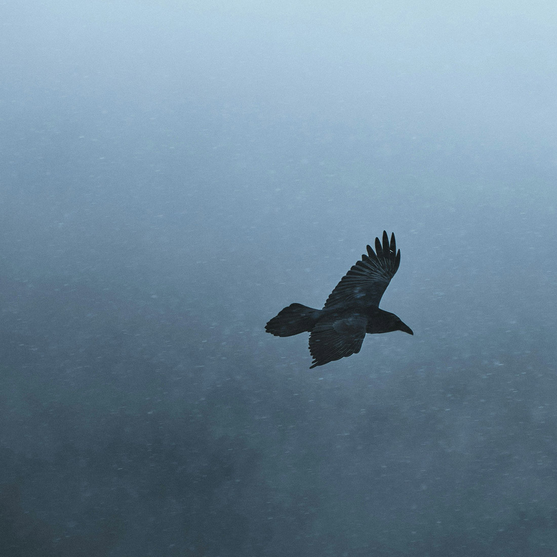 spencer-vandermeer-pBAynM0bh1w-unsplash