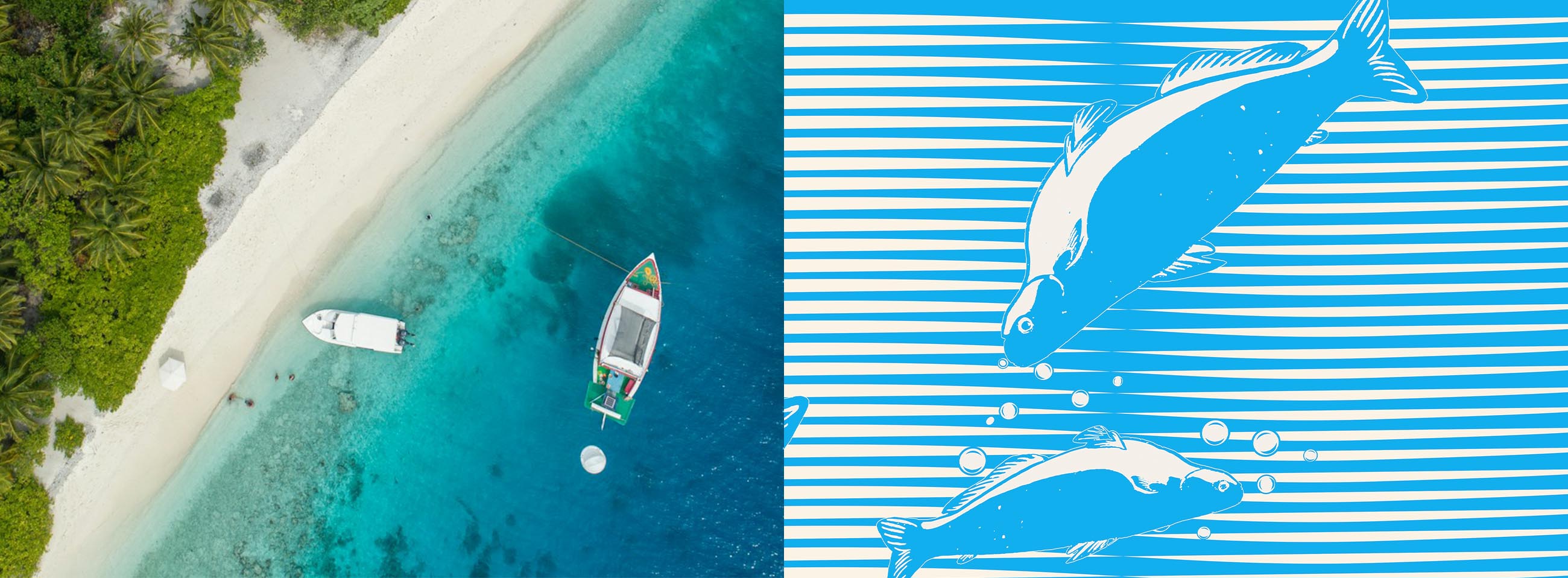 Fishprint_Newsticker_Banner