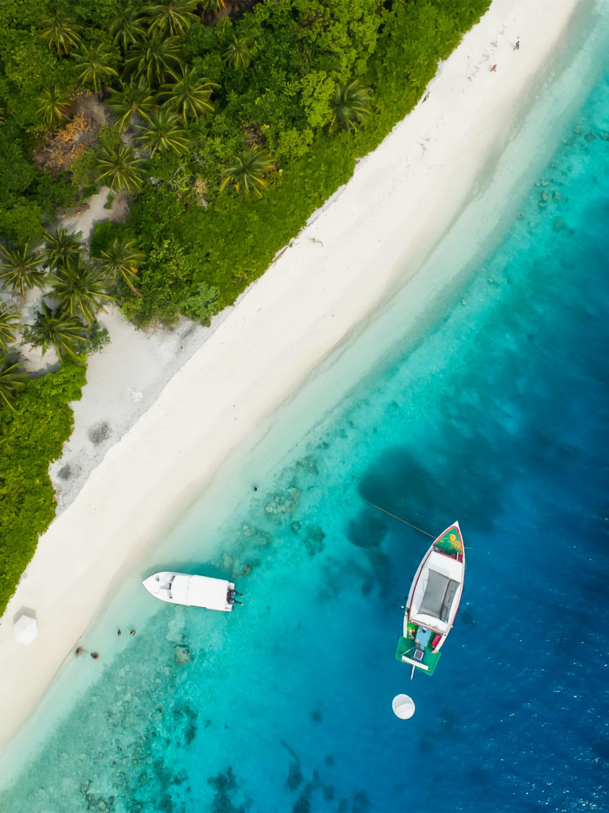 Fishprintbanner_Mobil